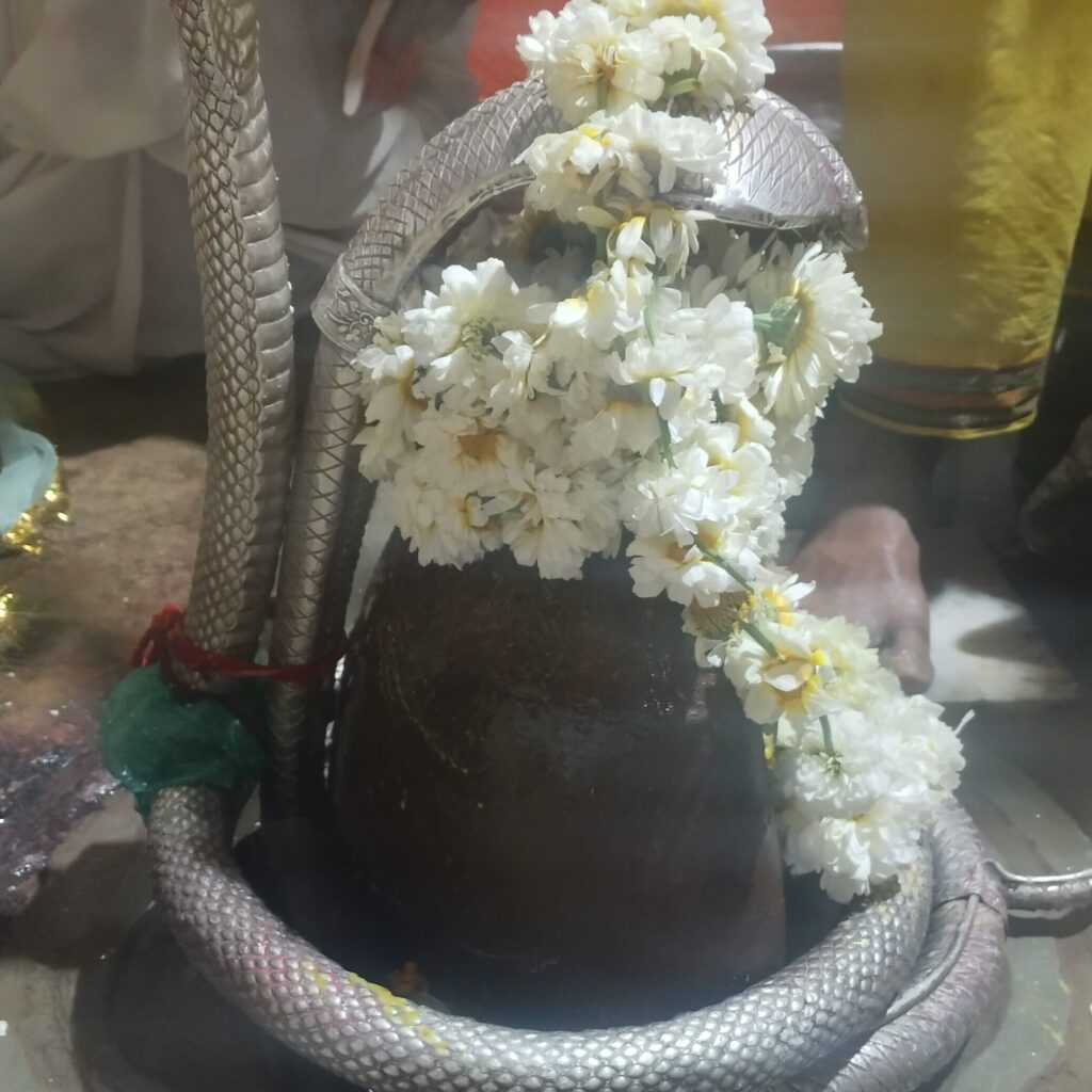 Mrityunjay stuti